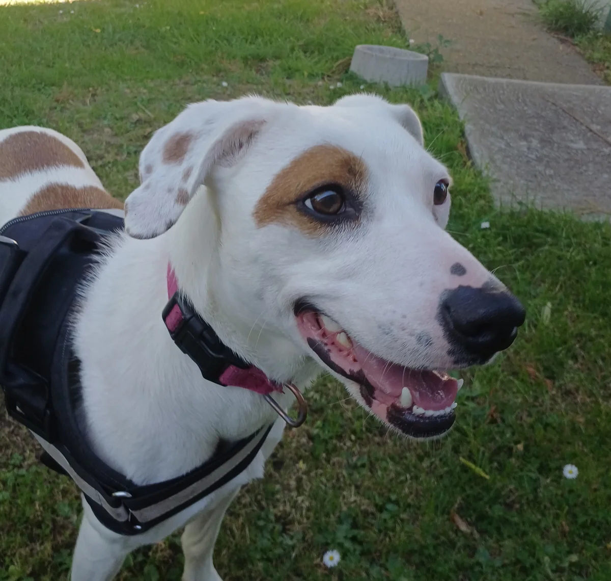 Gallery image: Skylar