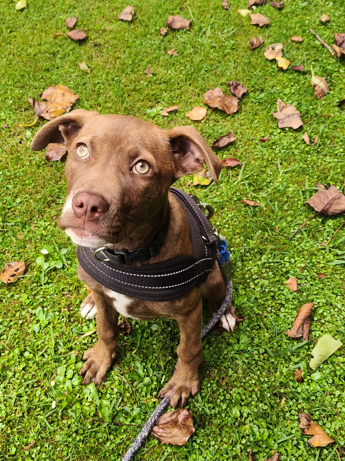 Gallery image: Chanel