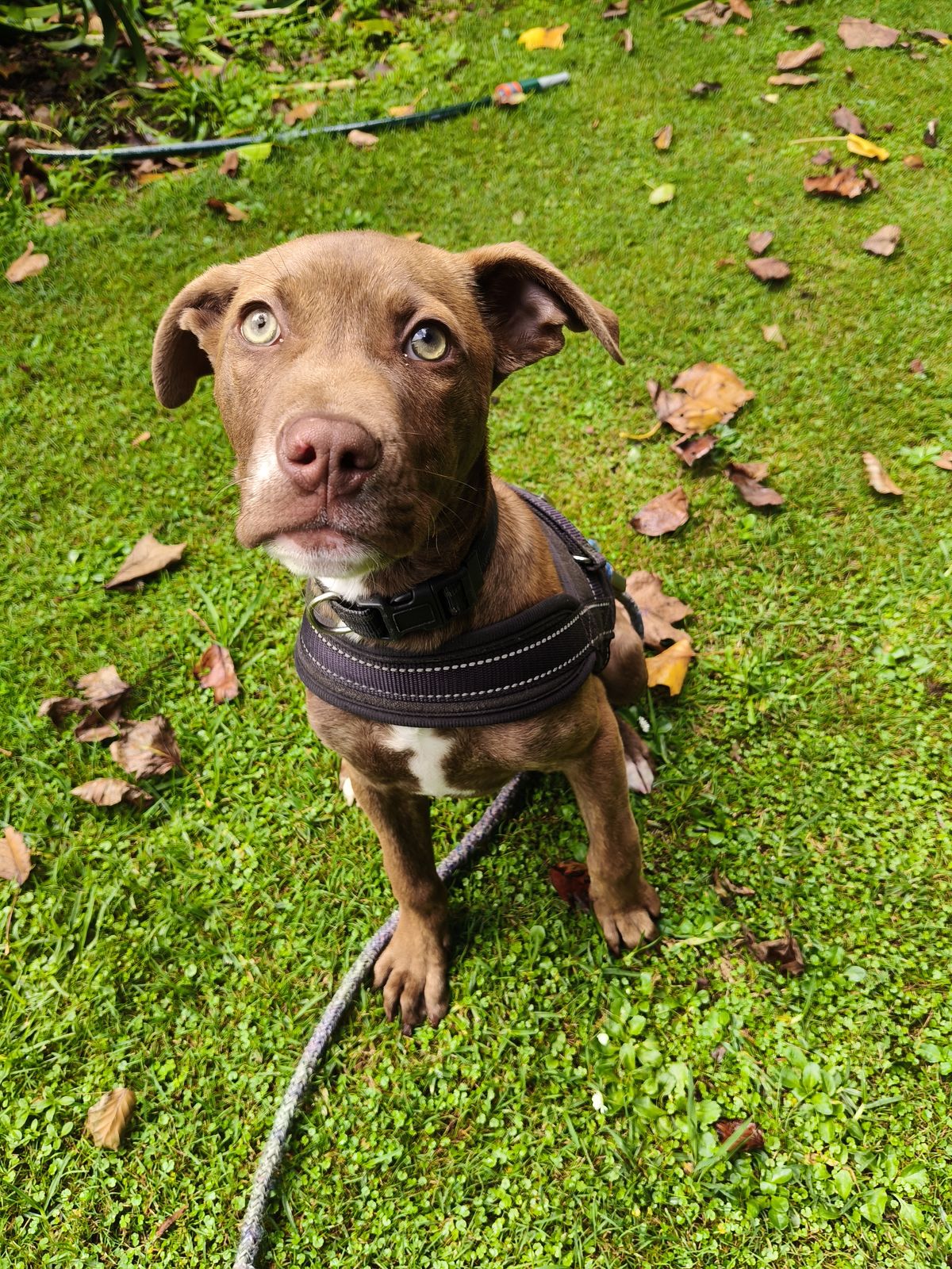 Gallery image: Chanel