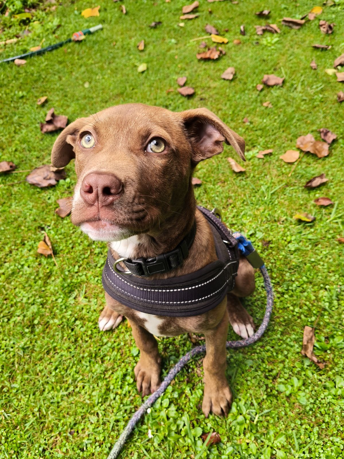 Gallery image: Chanel