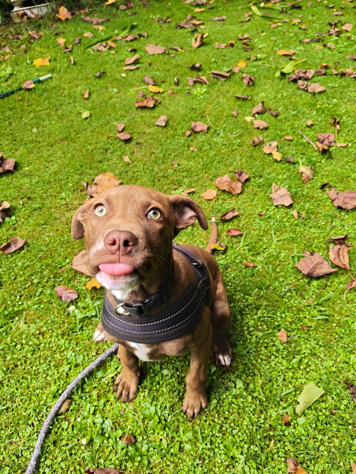 Gallery image: Chanel