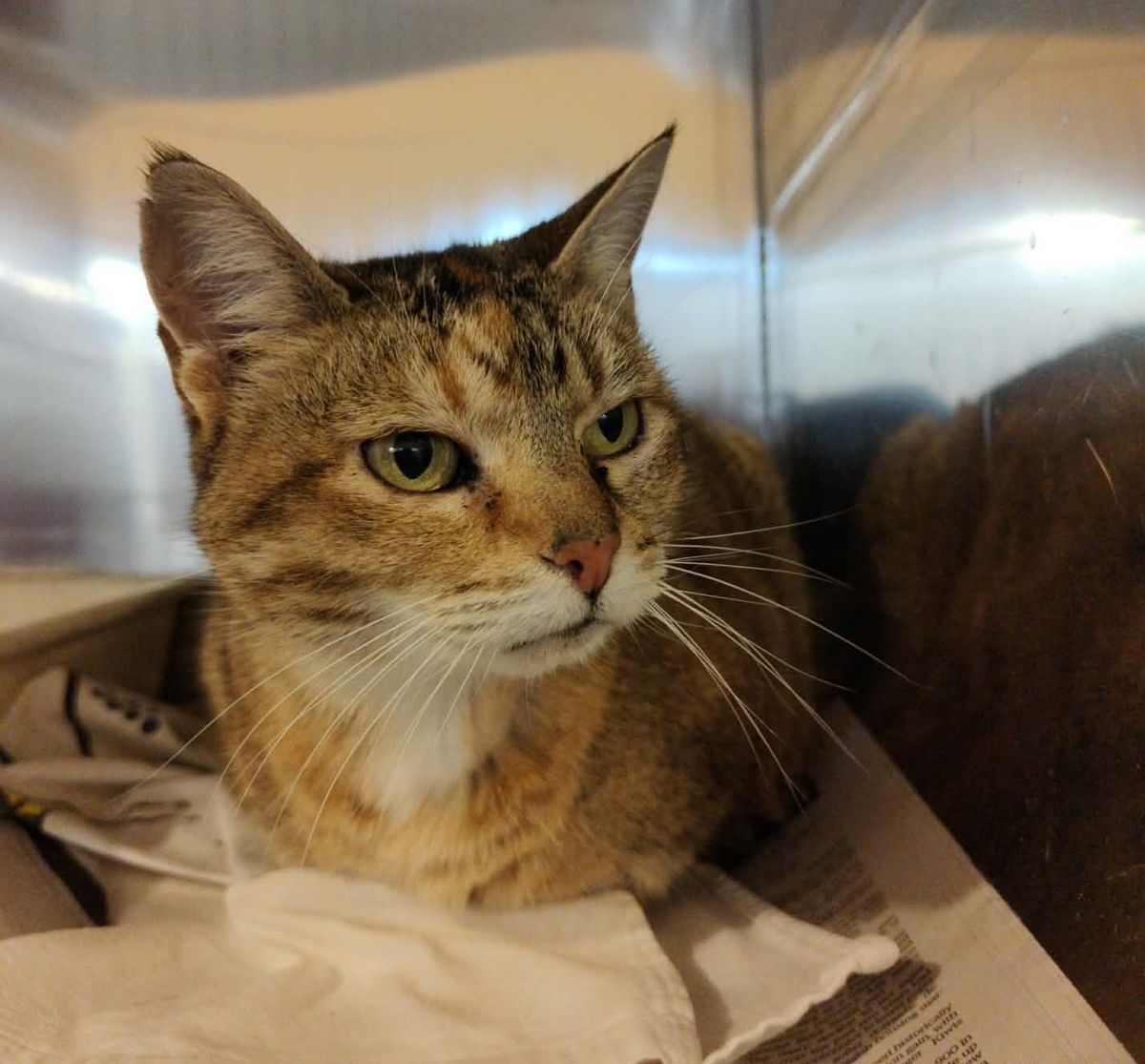 Gallery image: Gorgeous