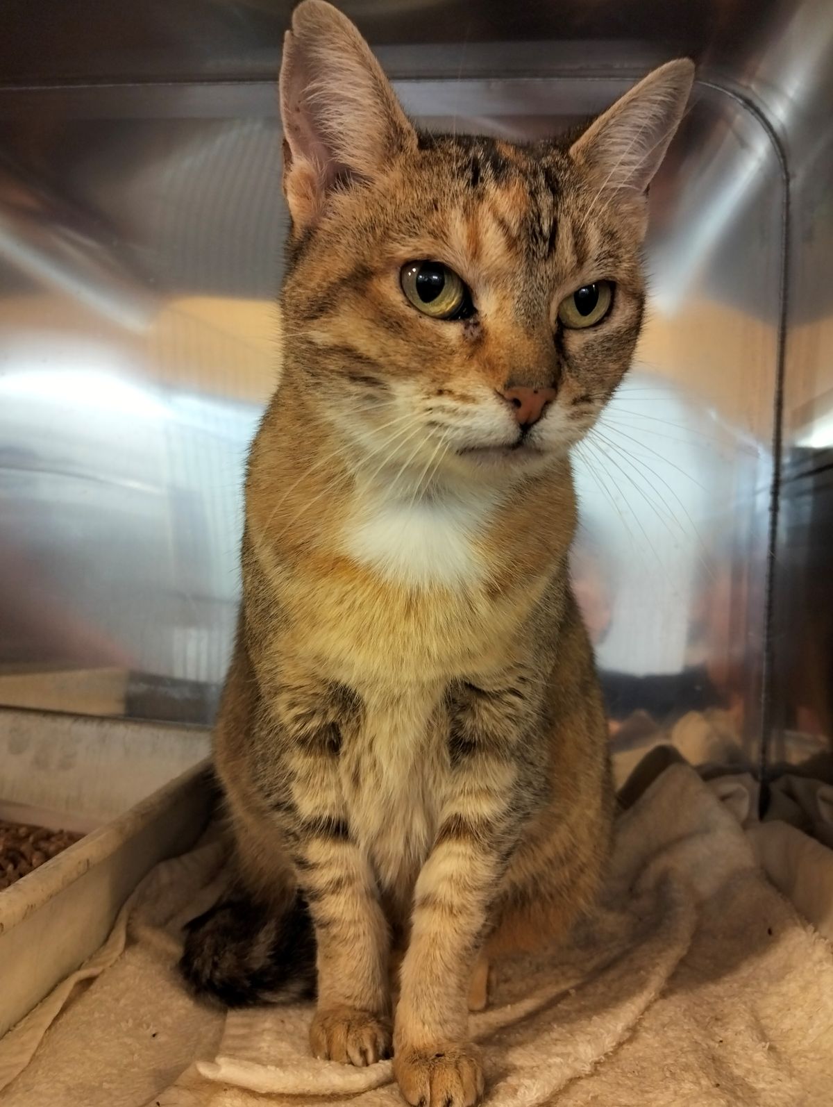 Gallery image: Gorgeous