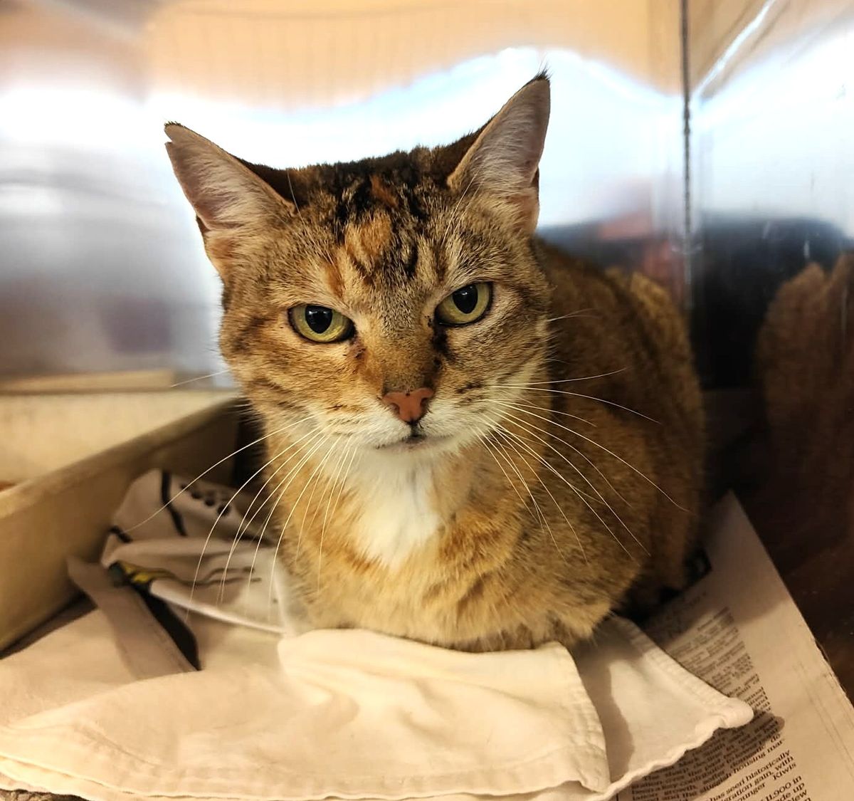 Gallery image: Gorgeous