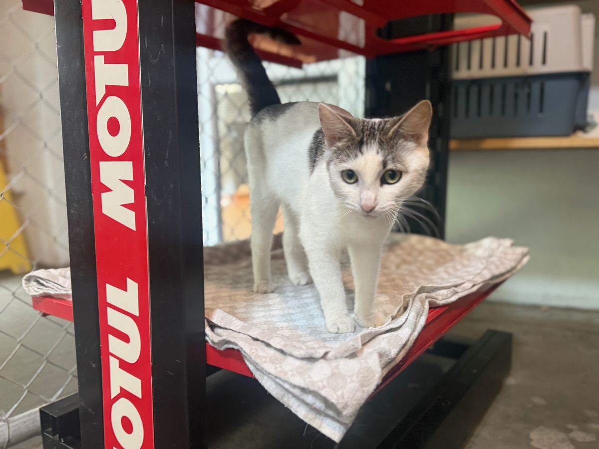 Gallery image: Helga