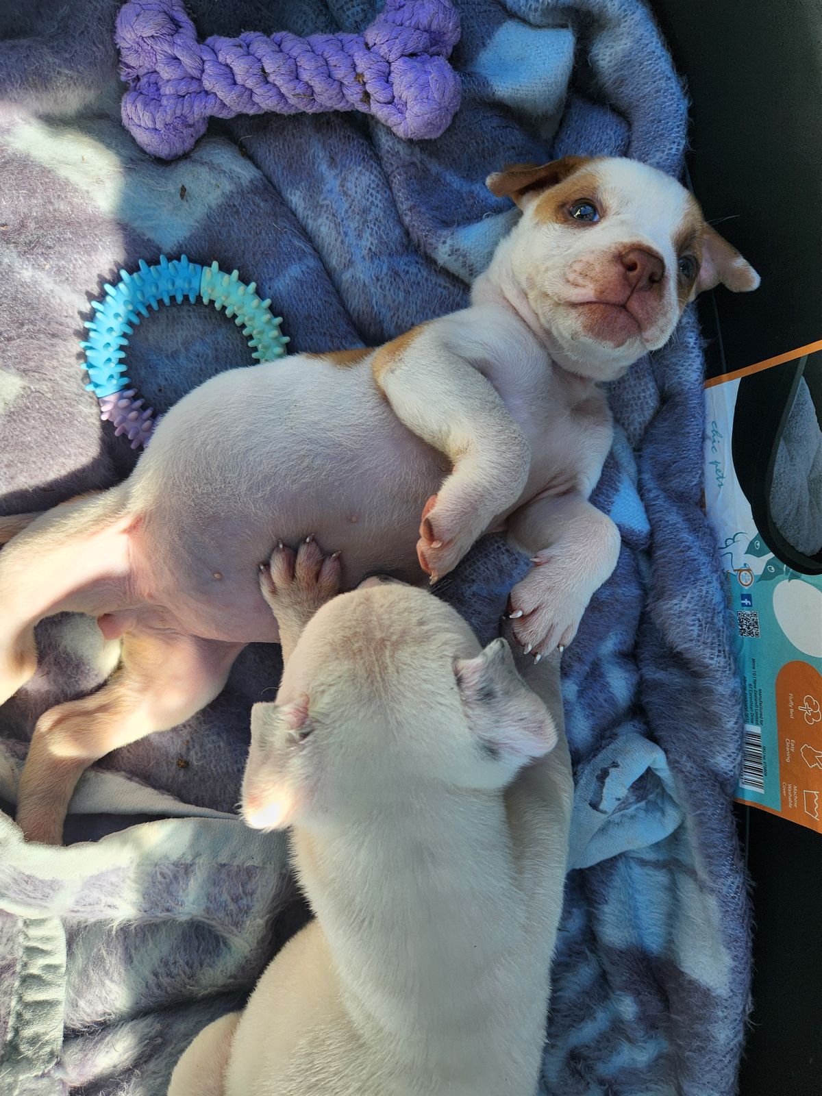 Gallery image: Selena 