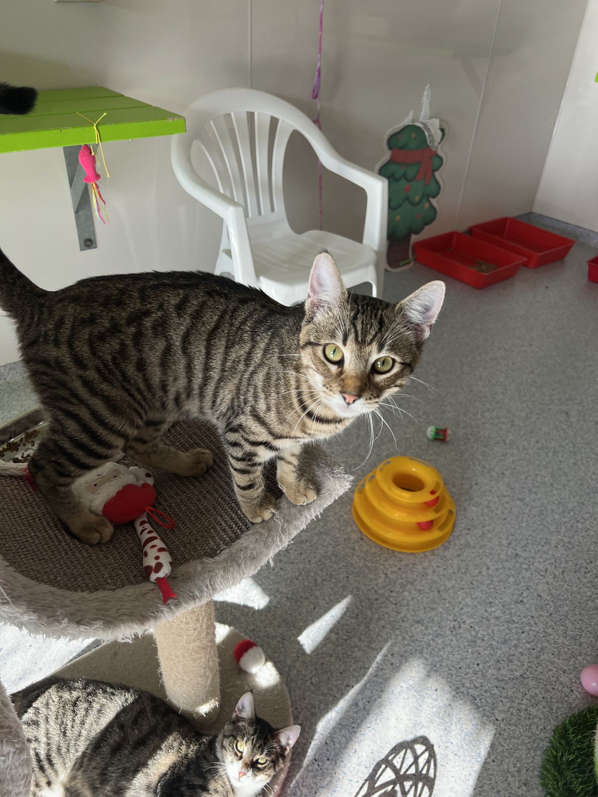 Gallery image: Elijah