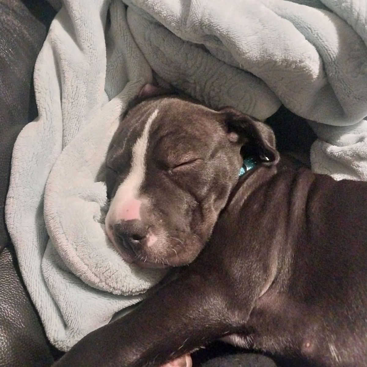 Gallery image: Mateo