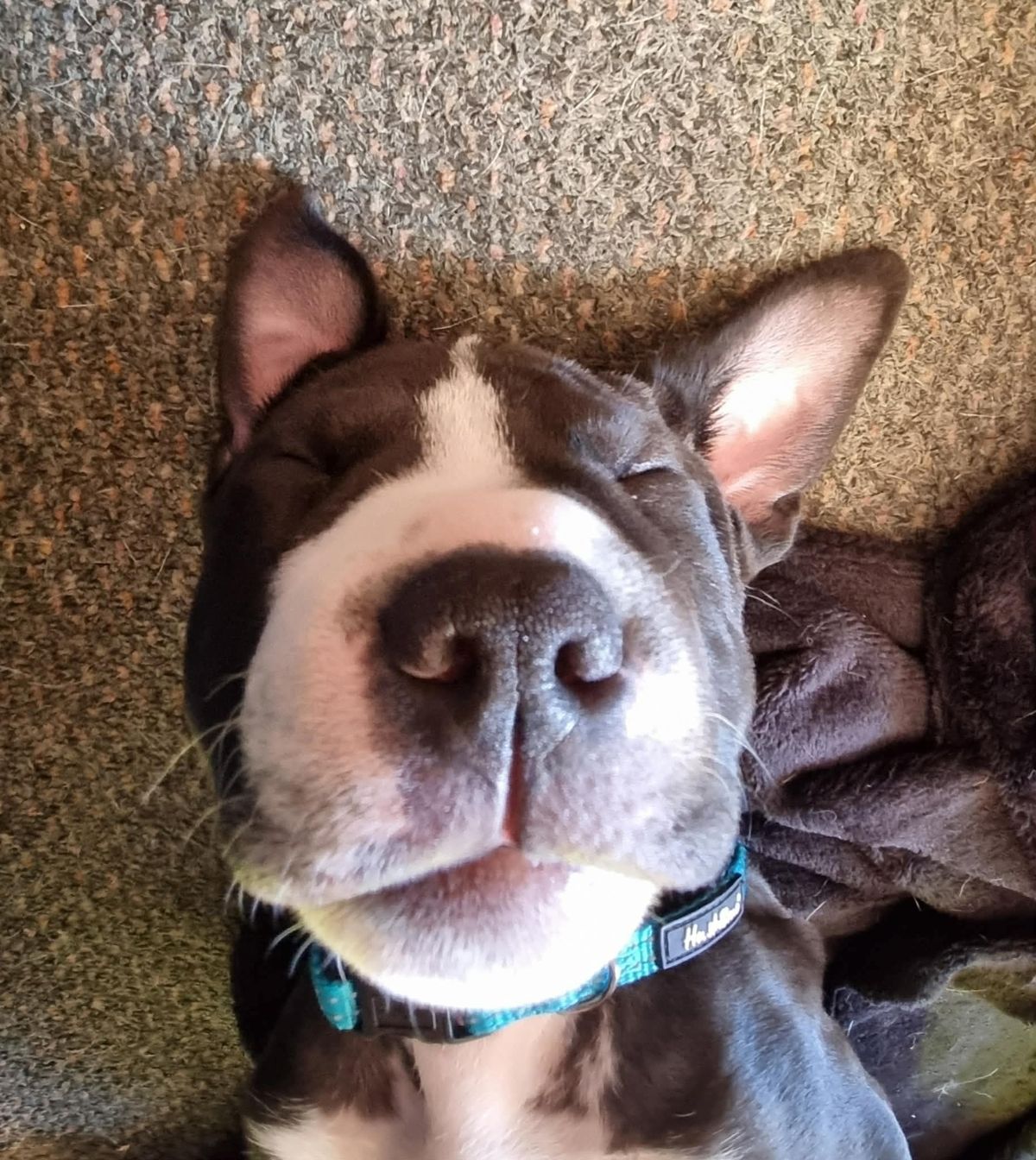 Gallery image: Mateo