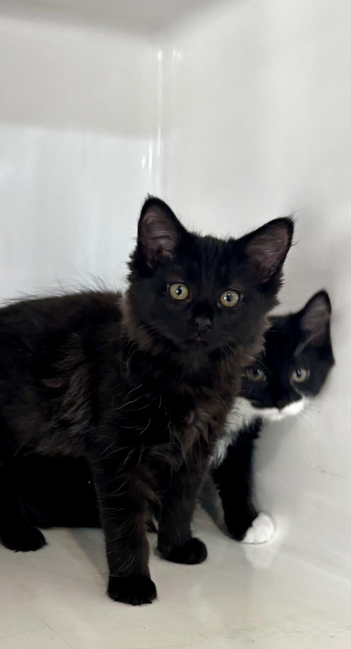 Gallery image: Paris