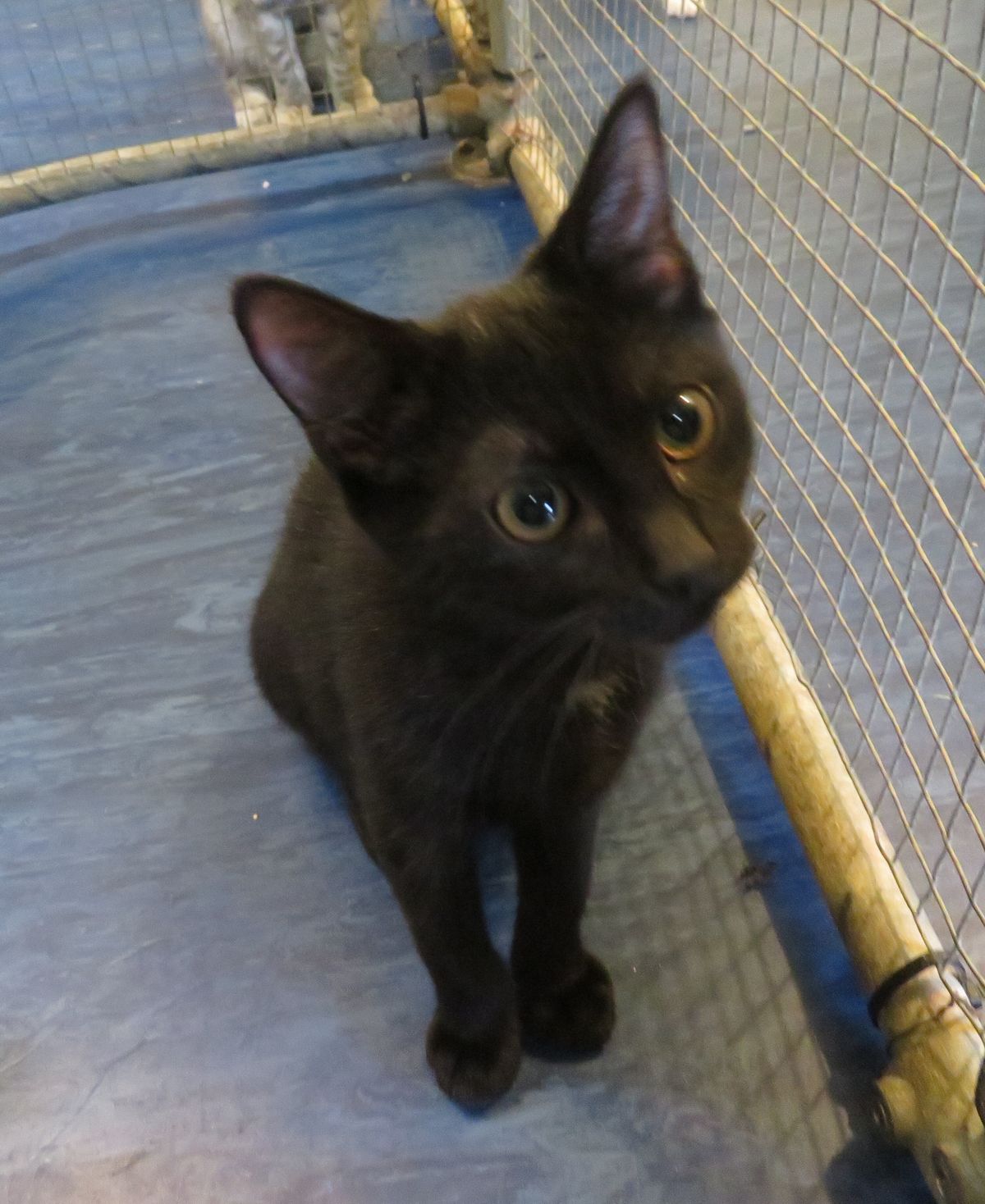 Gallery image: Wendy