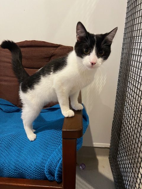 Gallery image: Ocean