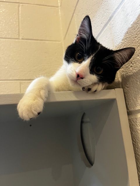 Gallery image: Ocean