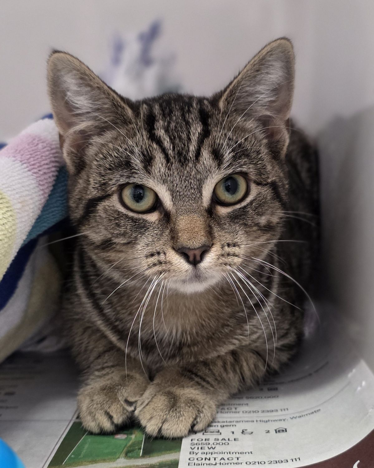 Gallery image: Grumpy Gary