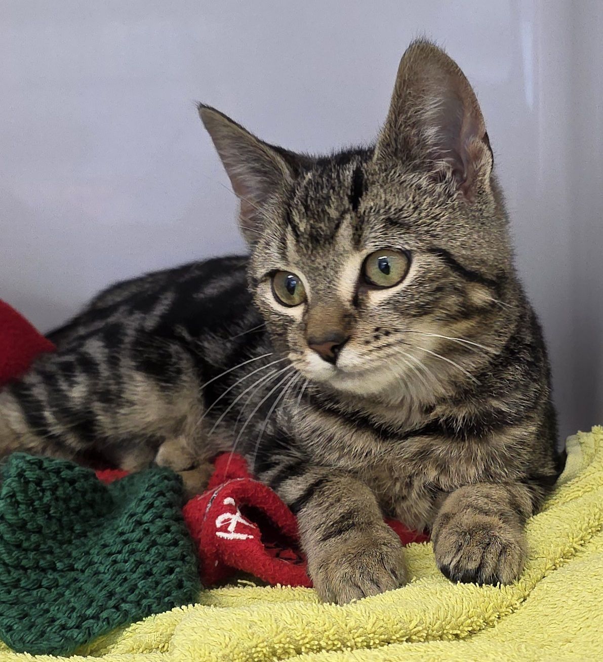 Gallery image: Hugsalot