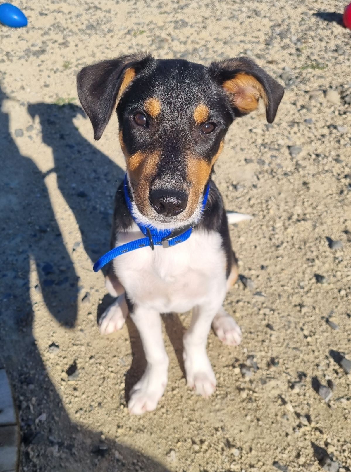 Gallery image: Cooper