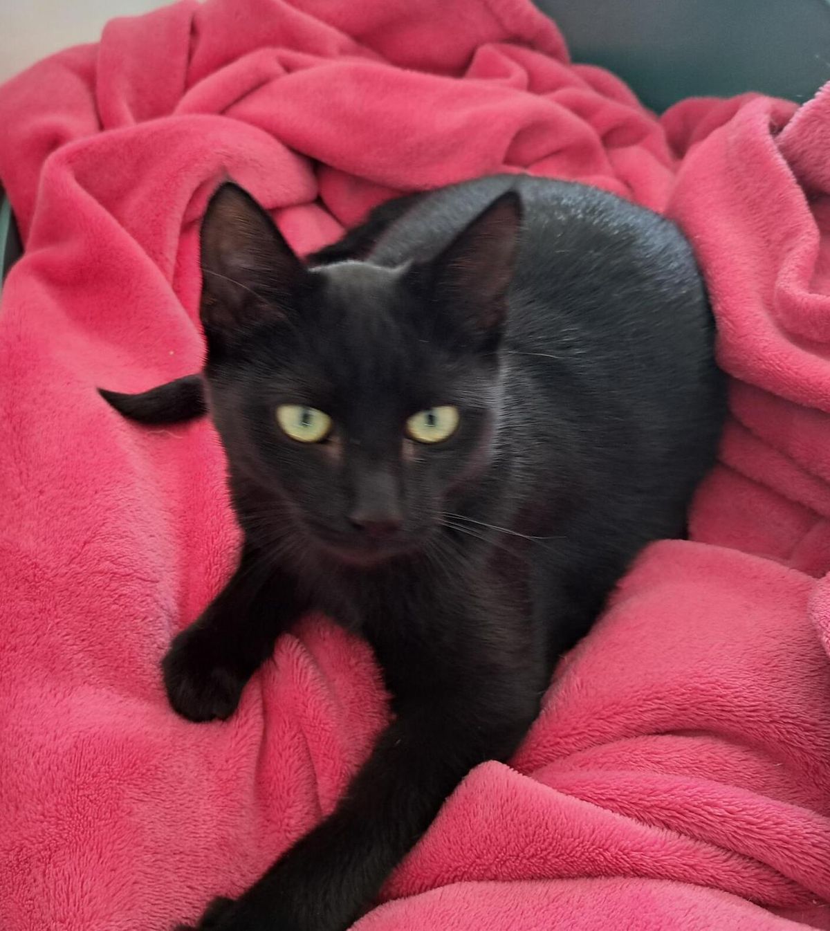 Gallery image: Grace