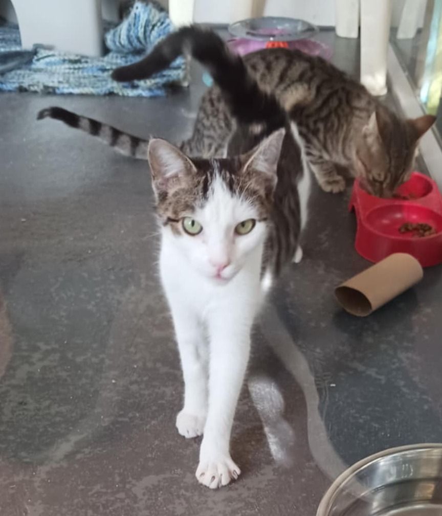 Gallery image: Michaela