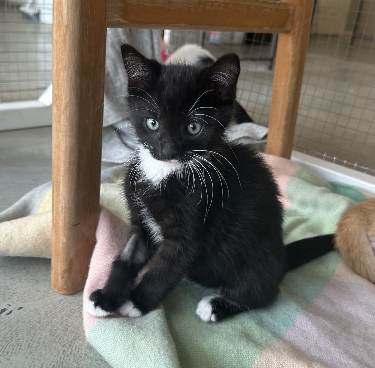 Gallery image: Mai Tai