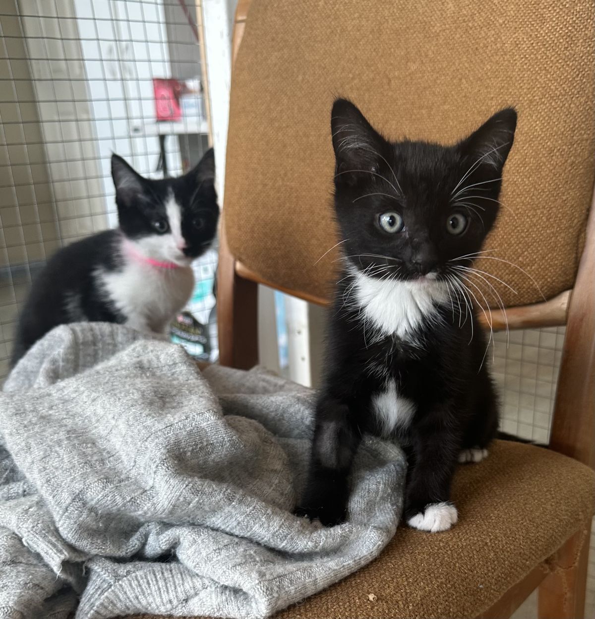 Gallery image: Mai Tai