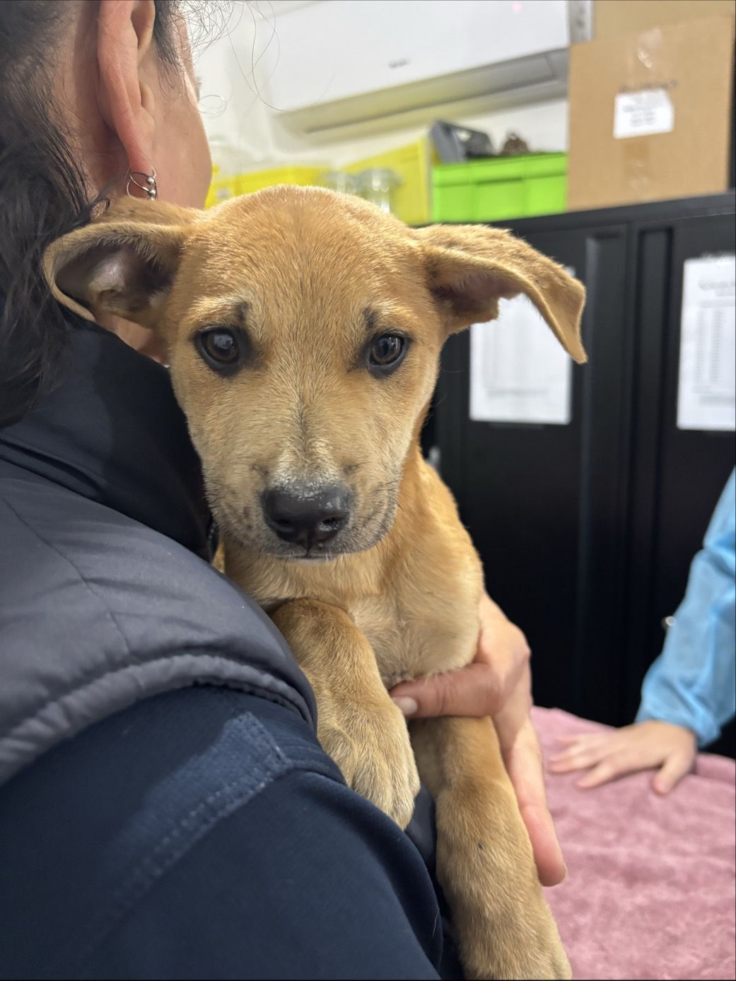 Gallery image: Buford