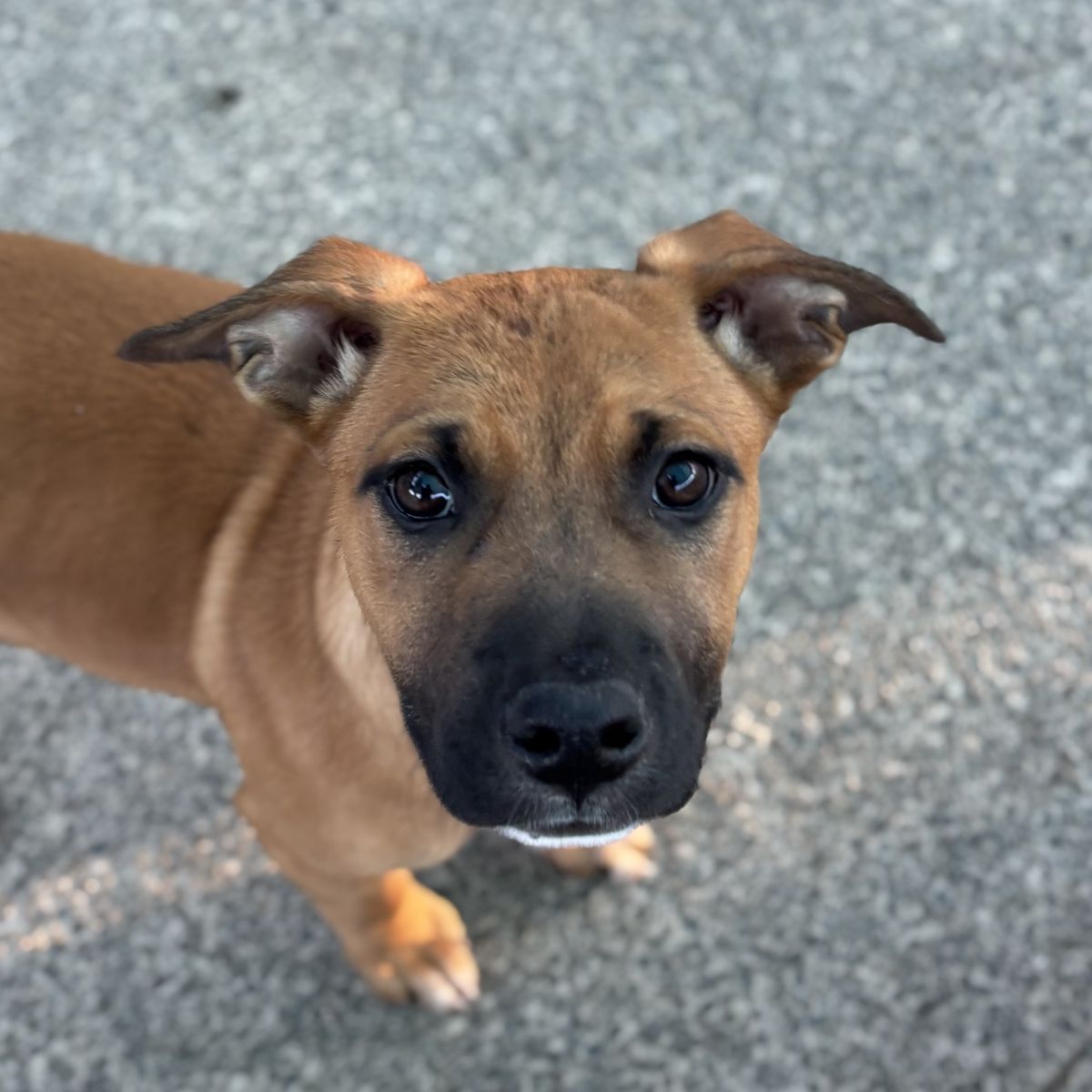 Gallery image: Baylee