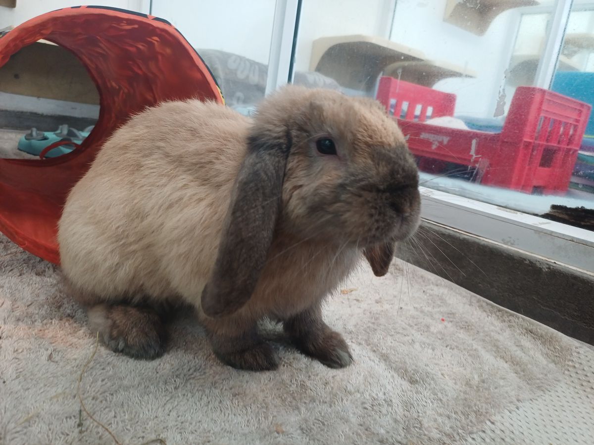 Gallery image: Bean Sprout