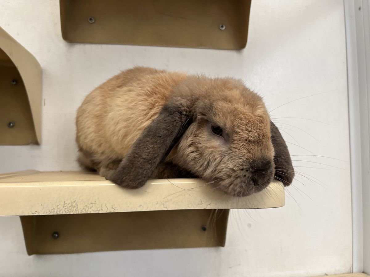 Gallery image: Bean Sprout