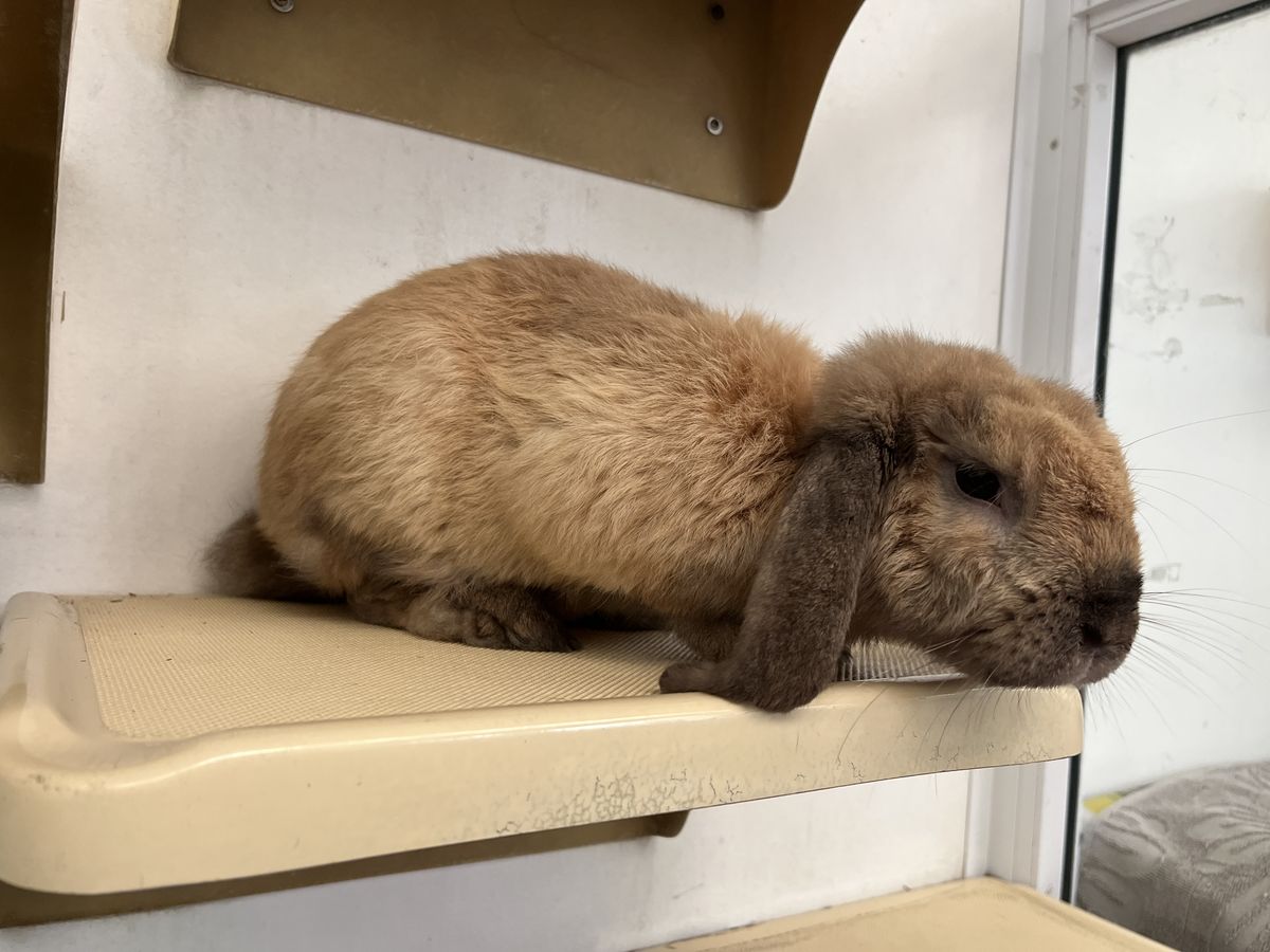 Gallery image: Bean Sprout