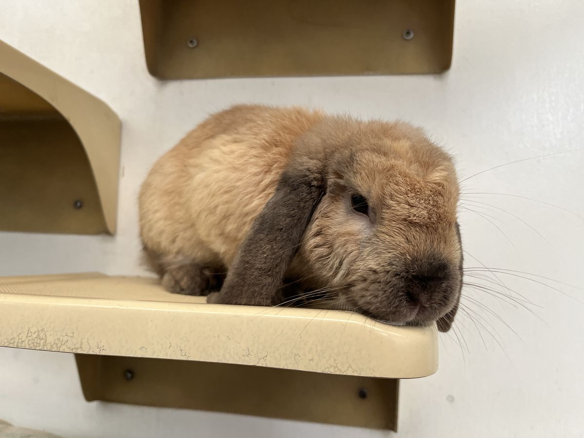 Gallery image: Bean Sprout