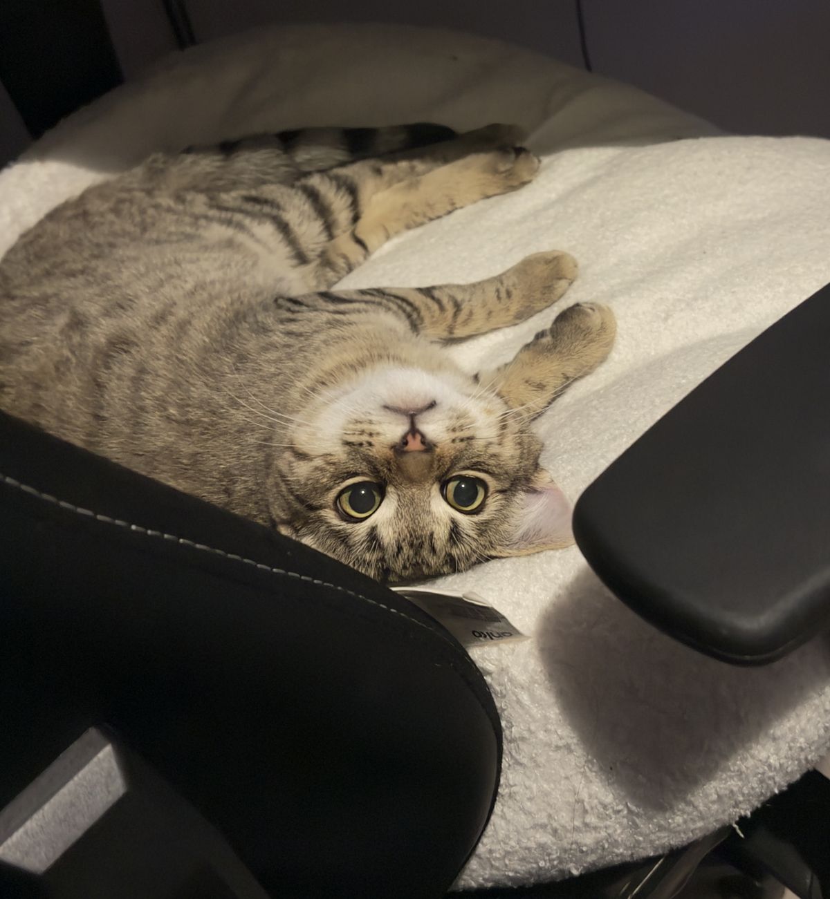 Gallery image: Stratus