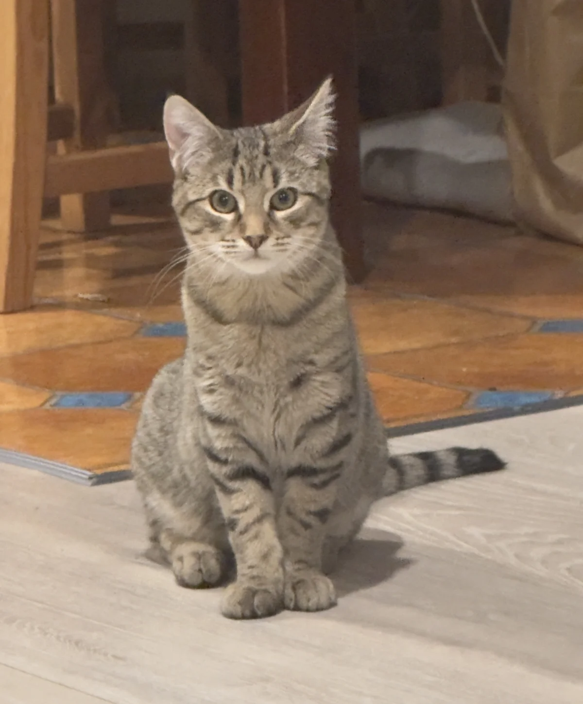 Gallery image: Stratus