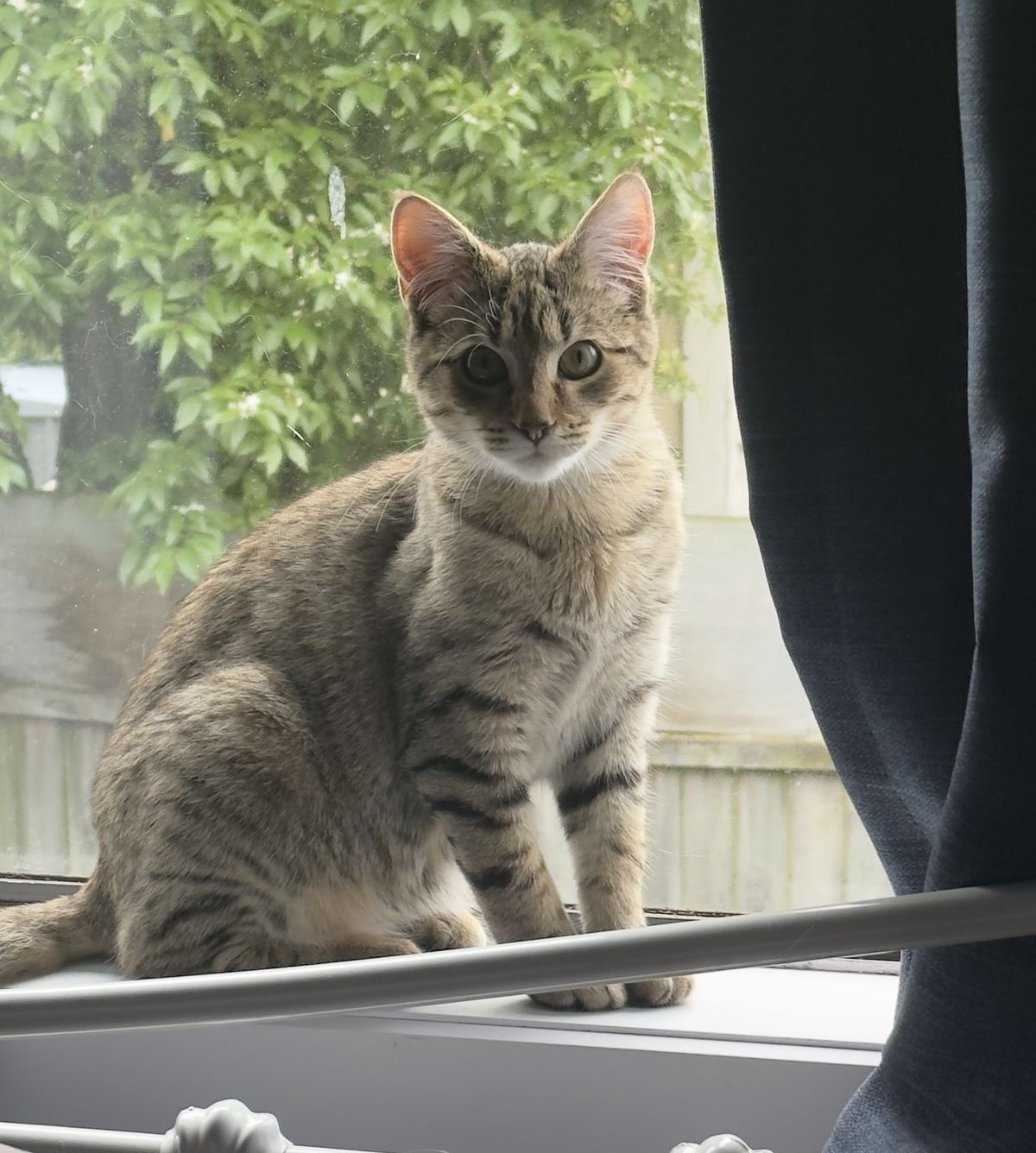 Gallery image: Stratus