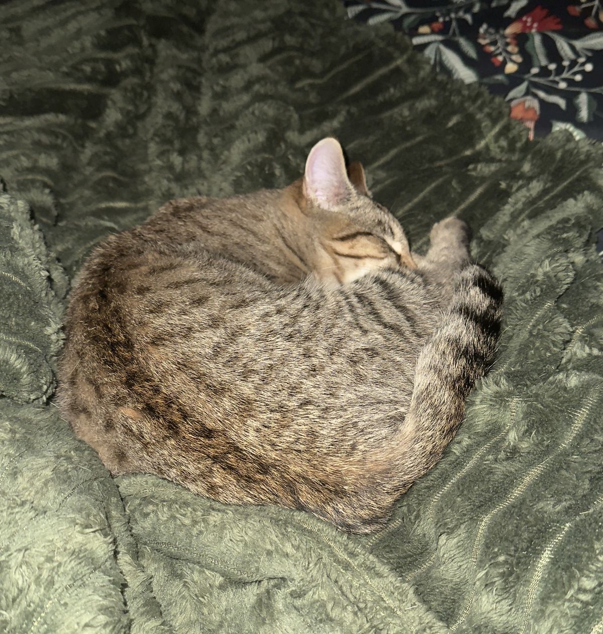 Gallery image: Stratus