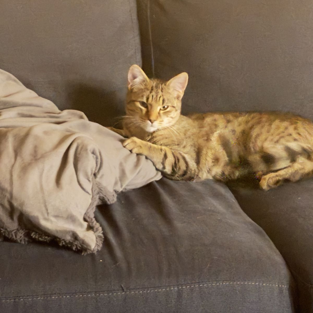 Gallery image: Stratus