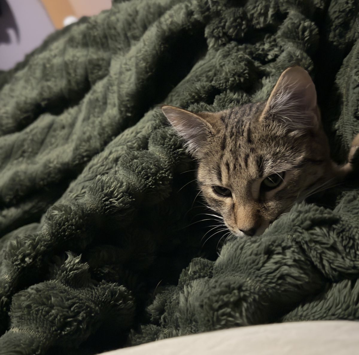 Gallery image: Stratus