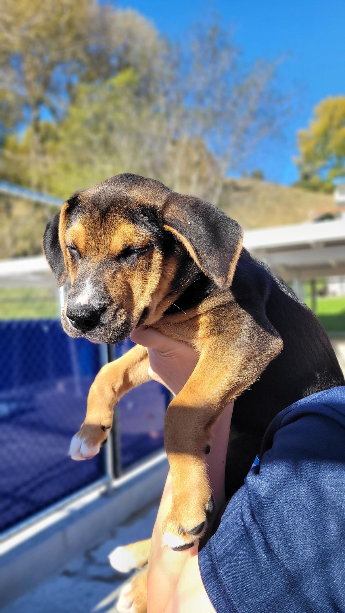 Gallery image: Arthur