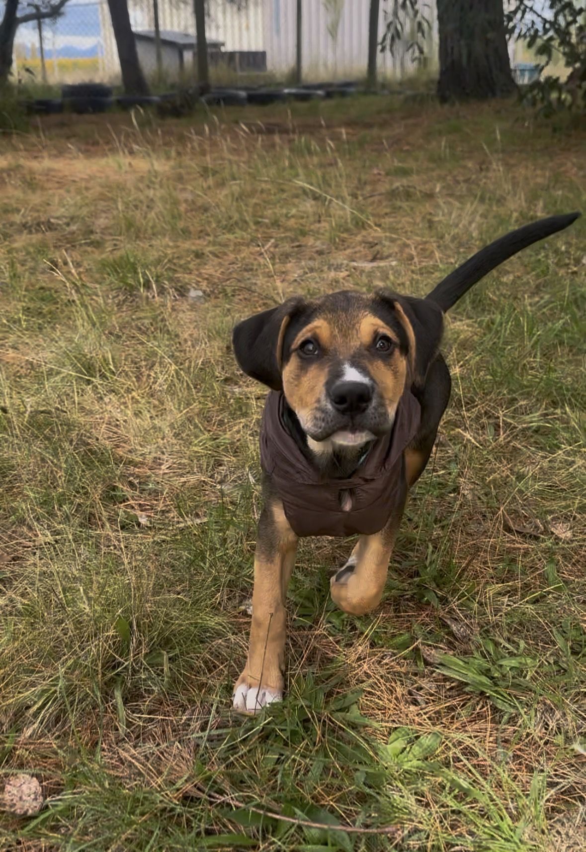 Gallery image: Arthur