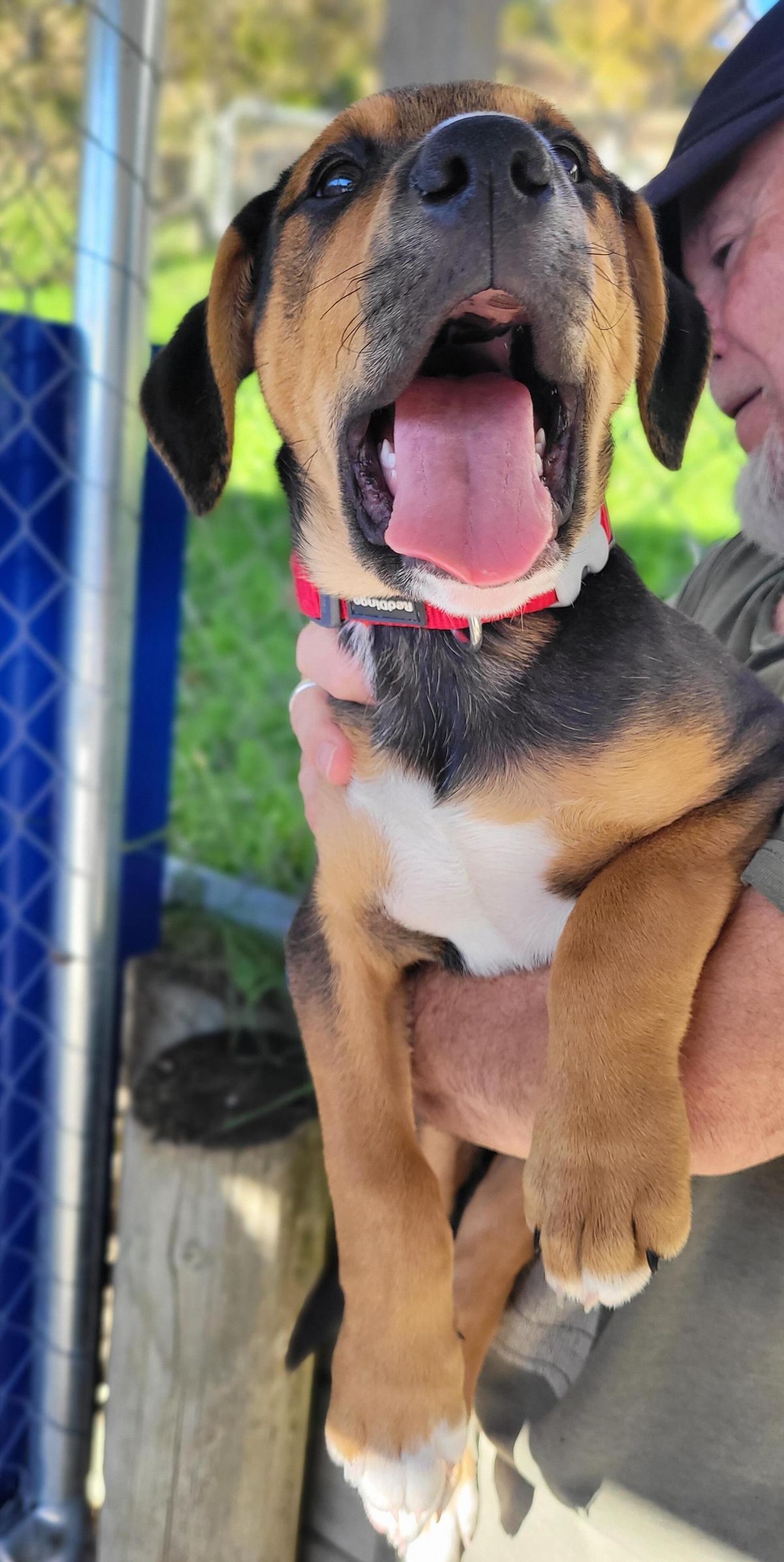 Gallery image: Arthur