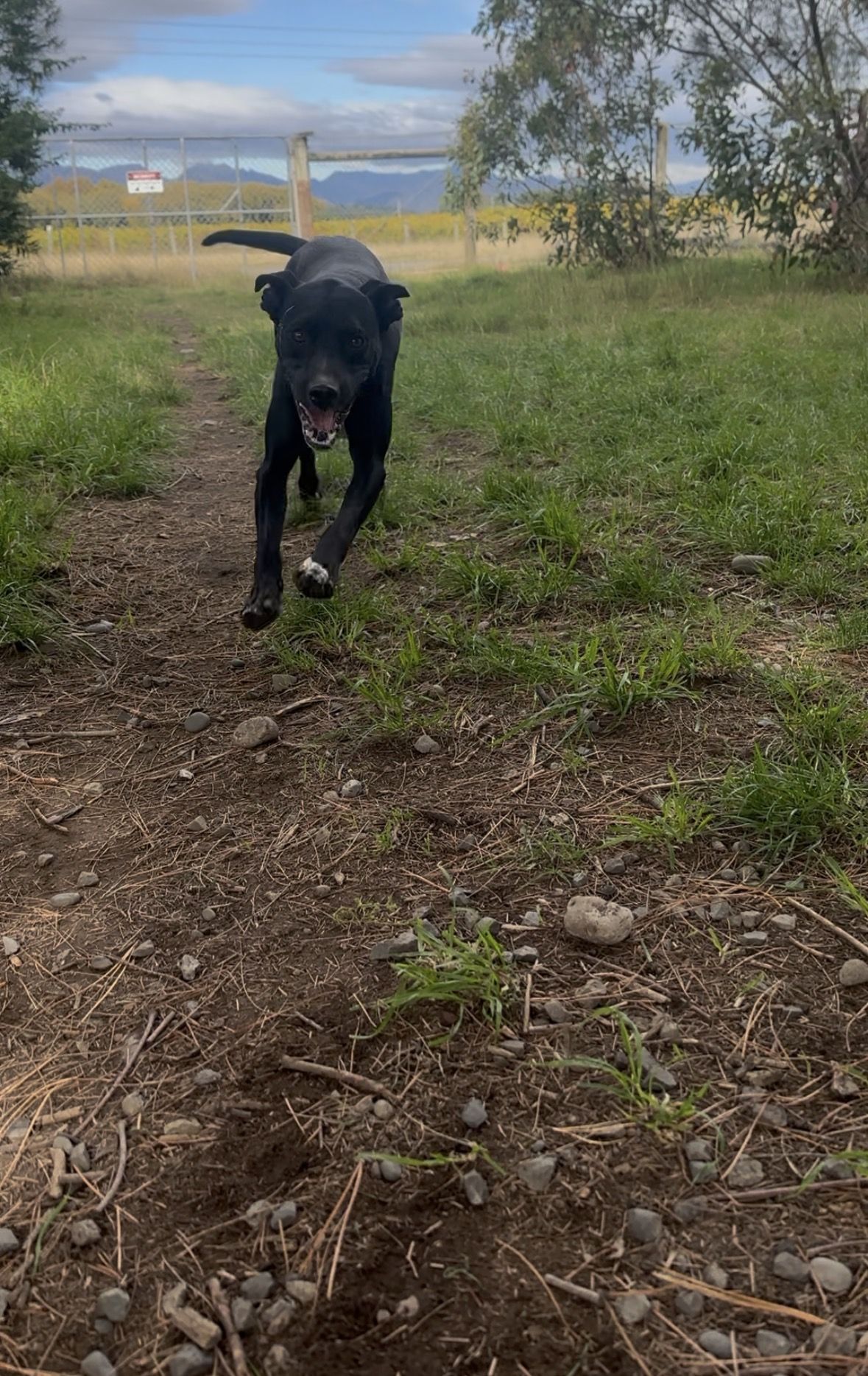 Gallery image: Rocky