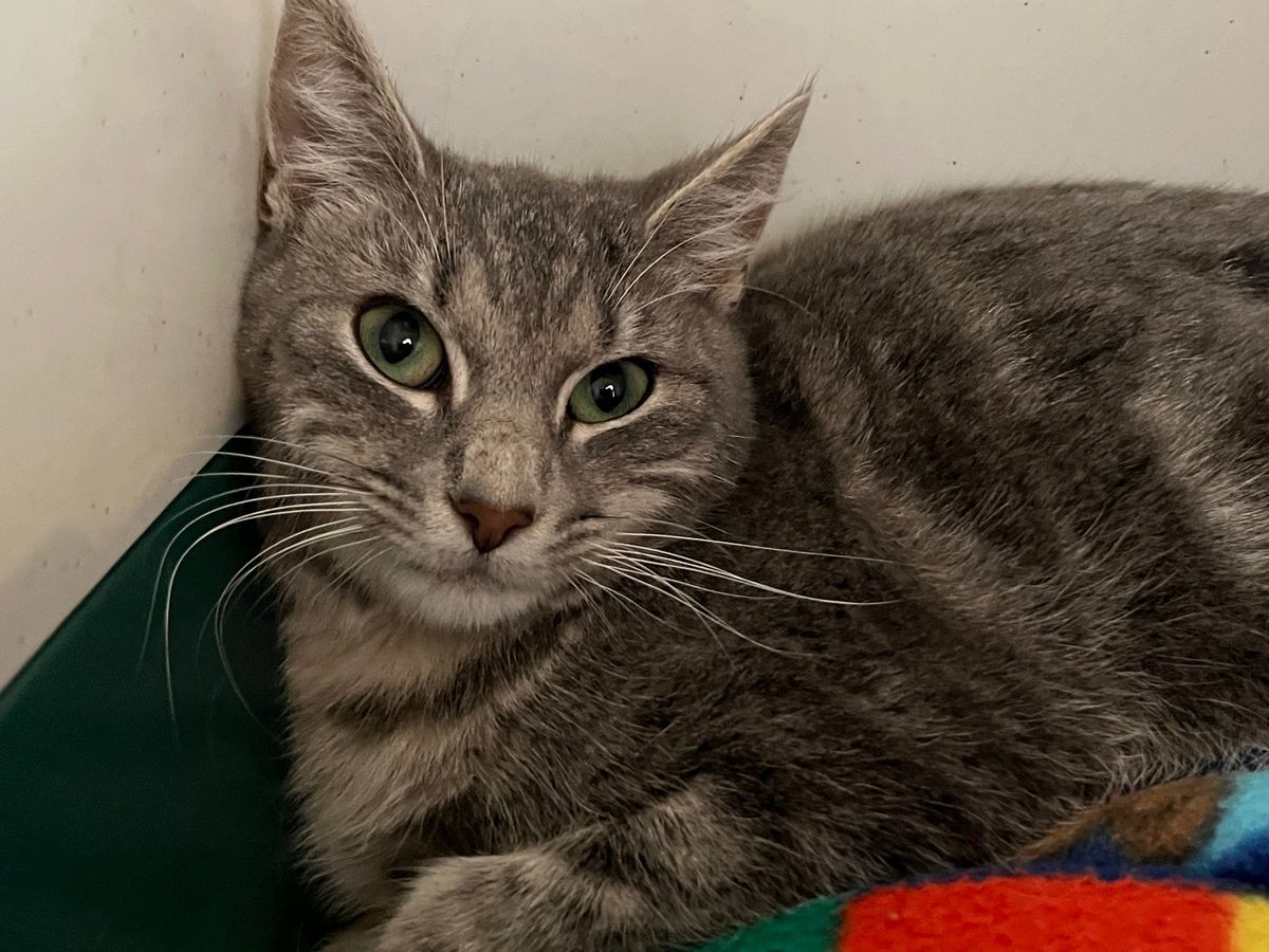 Gallery image: Benny