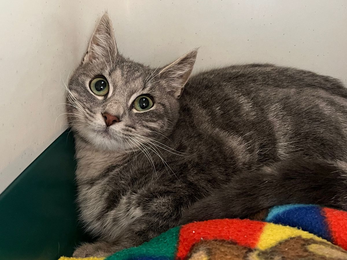 Gallery image: Benny