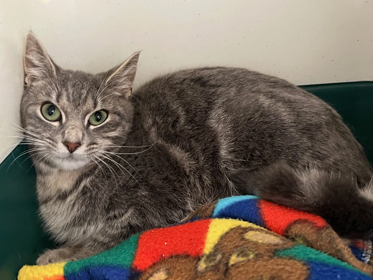 Gallery image: Benny