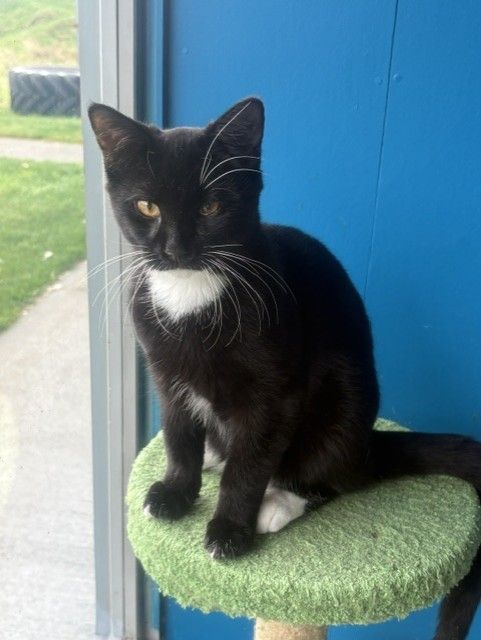 Gallery image: Crackers