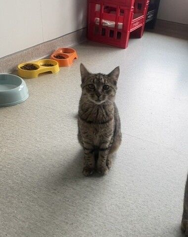 Gallery image: Precious 