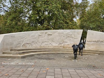 Remembering Animals in War