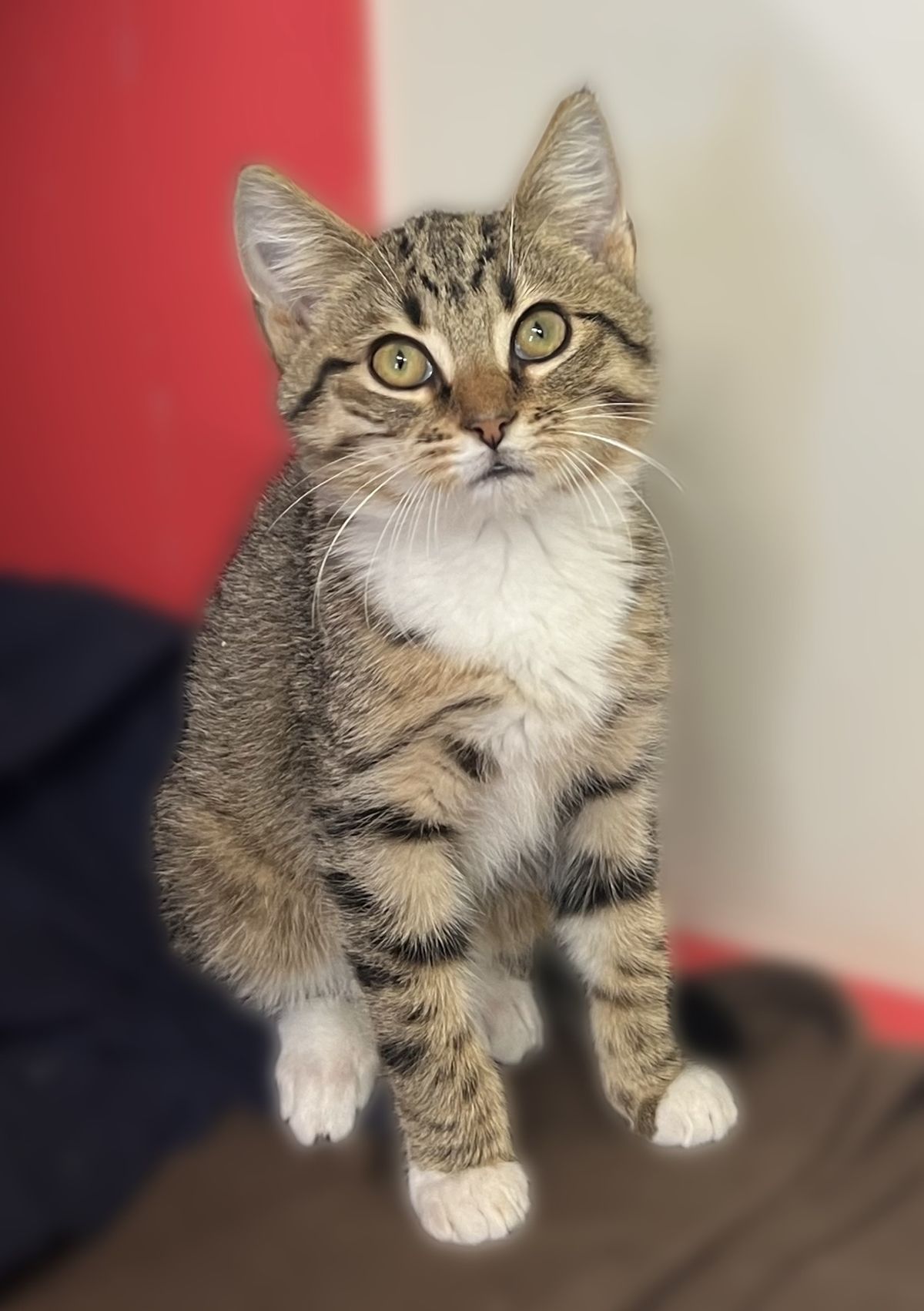 Gallery image: Jenga