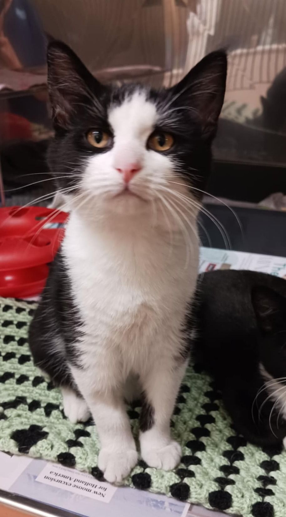 Gallery image: Picasso