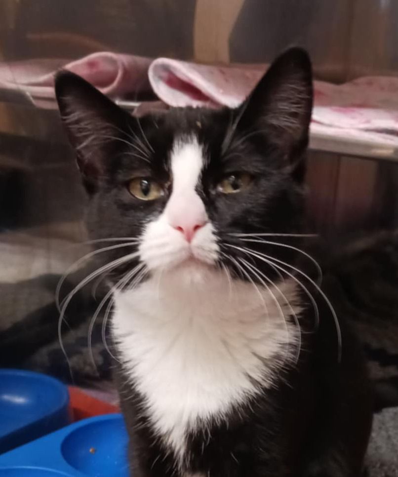 Gallery image: Freda