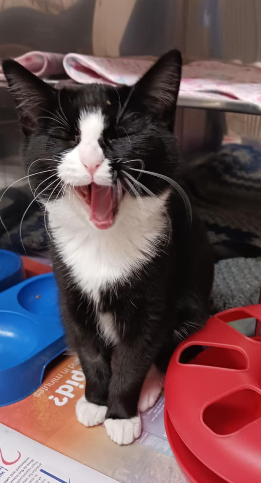 Gallery image: Freda